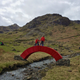 Illustration for article titled This Bridge Is Made From Nothing But 22,000 Sheets of Paper
